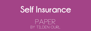 Self Insurance Paper